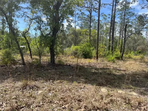 ne 96 avenue LOT 5, Bronson, FL 32621