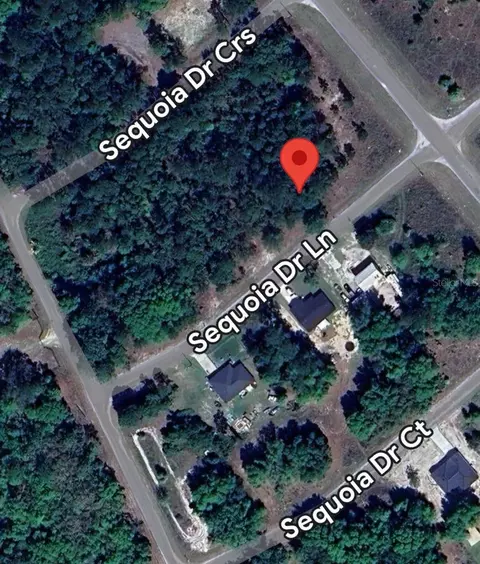 33 Sequoia Drive Ln, Ocklawaha, FL 32179