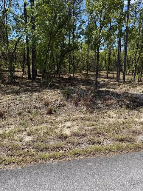lot SW Apt 8 Sw Mineola Ln, Dunnellon, FL 34431