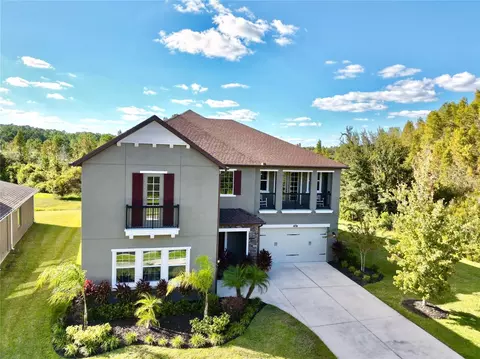 1879 Whitewillow Dr, Wesley Chapel, FL 33543
