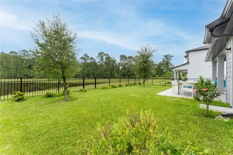 11243 Pixie Mandarin Ct, Winter Garden, FL 34787 photo 10