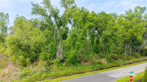 Hickman Avenue, Plant City, FL 33563