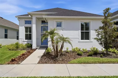 28761 Sweet Persimmon Dr, Wesley Chapel, FL 33543