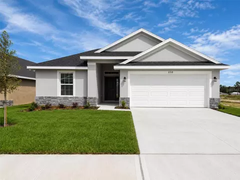 250 Verny Grove Ln, Leesburg, FL 34748