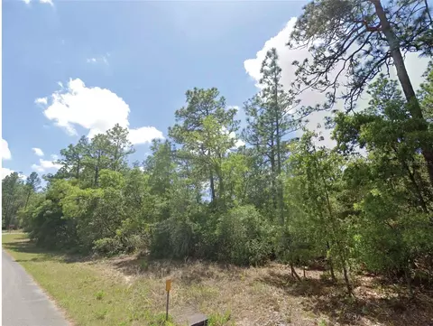 9164 N Gilbert Ter, Dunnellon, FL 34433