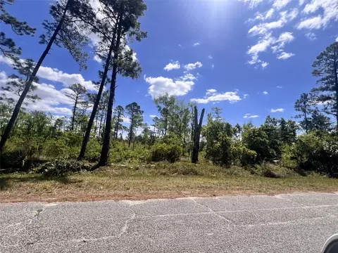 banyan street UNIT NO. 1, Eustis, FL 32736