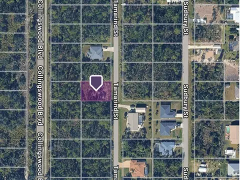 3133 Tamarind St, Port Charlotte, FL 33948