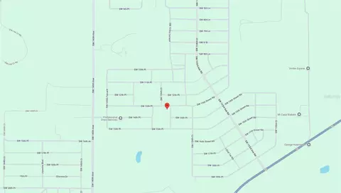 SW 13th Place, Ocala, FL 34481 photo 2
