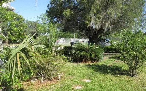 Exterior - 814 NW 2nd St, Ocala, FL 34475 photo 8 of 9