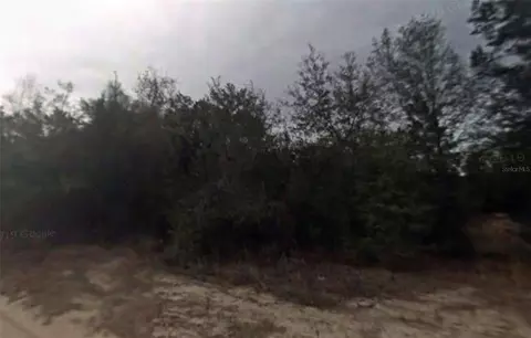 702 Longwood Ave, Inverness, FL 34453