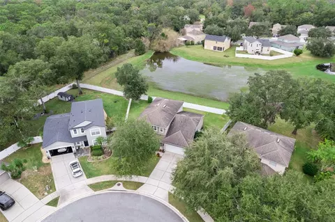 View/Area - 287 Fallen Oak Ct, Eustis, FL 32736 photo 7 of 11