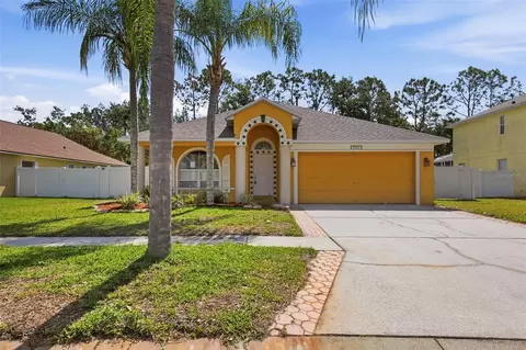 15511 Montilla Loop, Tampa, FL 33625