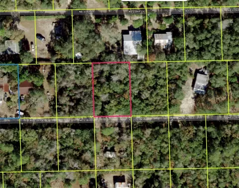 Ne 239th Pl, Fort Mc Coy, FL 32134
