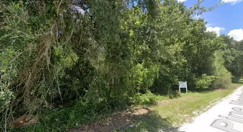 Pine Meadows Rd, Eustis, FL 32726 photo 2