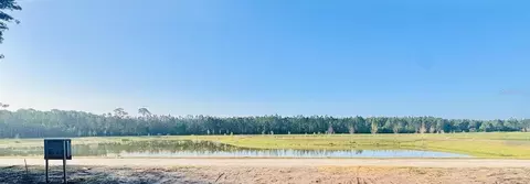 Pine Meadows Rd, Eustis, FL 32726 photo 3