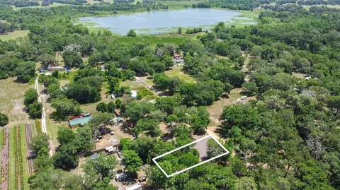 SE 124th Avenue, Webster, FL 33597 photo 8