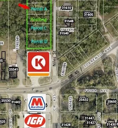31595 Niles St, Mount Plymouth, FL 32776