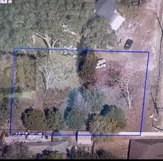 2668 Orange Branch Rd, Eustis, FL 32726 photo 3