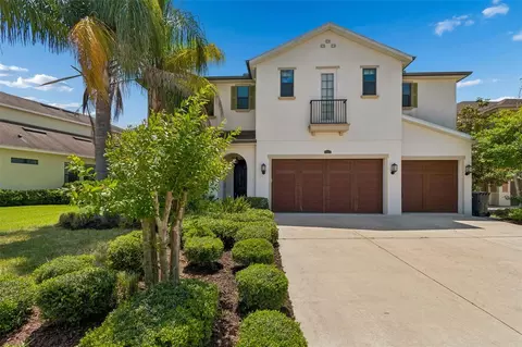 14320 Avon Farms Dr, Tampa, FL 33618