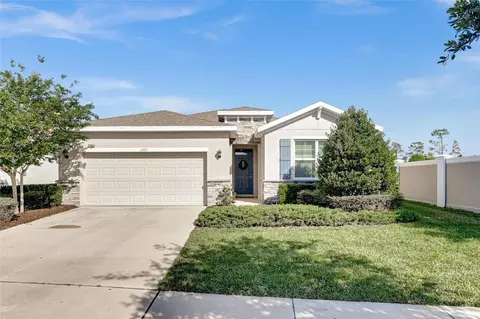 11925 Cross Vine Dr, Riverview, FL 33579