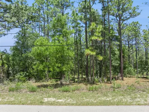 1797 W Union St, Hernando, FL 34442