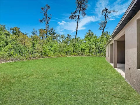 Exterior - 41260 Balsam St, Eustis, FL 32736 photo 8 of 8