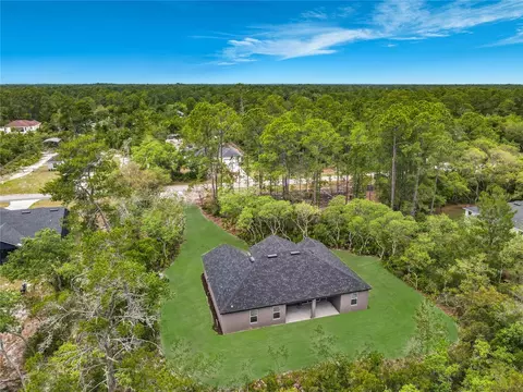 View/Area - 41260 Balsam St, Eustis, FL 32736 photo 8 of 8