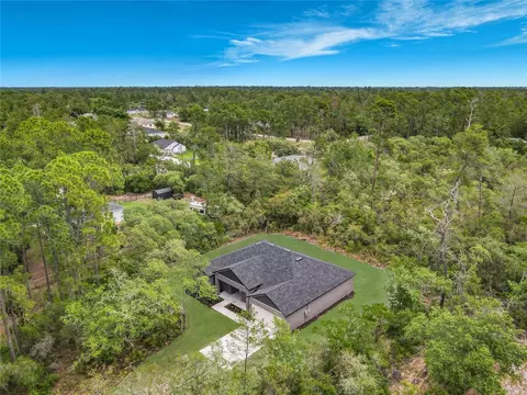 View/Area - 41260 Balsam St, Eustis, FL 32736 photo 3 of 8