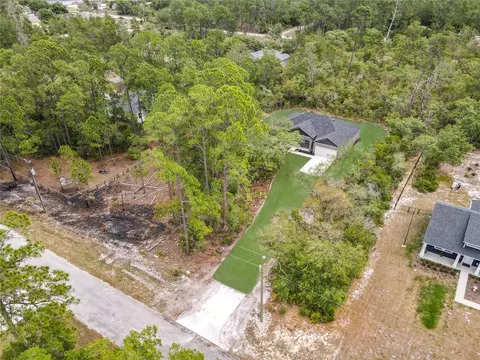 View/Area - 41260 Balsam St, Eustis, FL 32736 photo 2 of 8