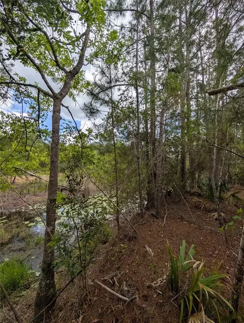 38521 Ilex Trl, Eustis, FL 32736