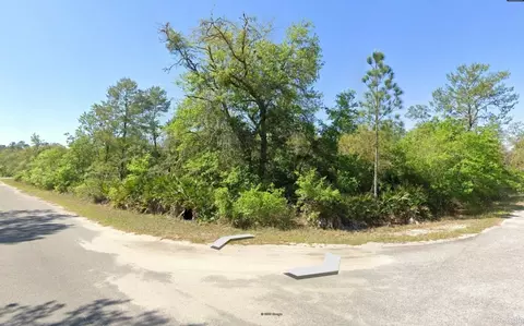 43 Sequoia Trl, Ocklawaha, FL 32179