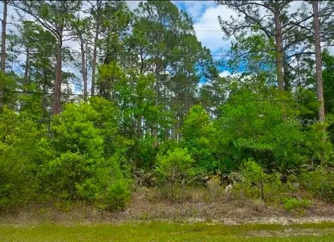 1747 Candleberry St, Bunnell, FL 32110