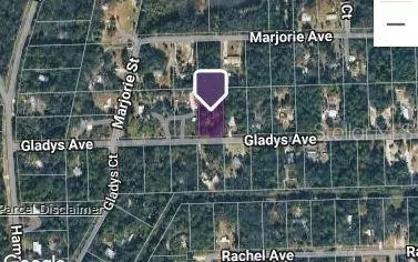 177 Gladys Ave, Inglis, FL 34449 photo 3