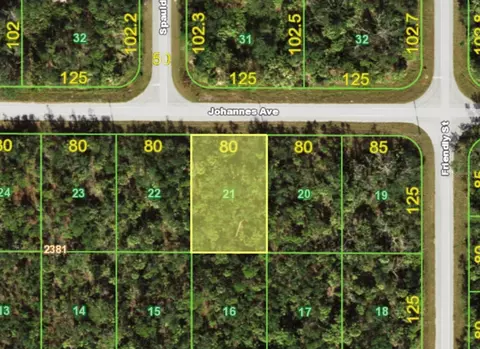 13181 Johannes Ave, Port Charlotte, FL 33953