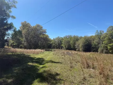 Other - 650 NE 200th Ave, Williston, FL 32696 photo 4 of 9