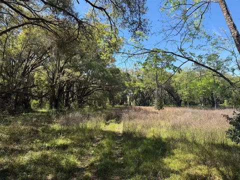 Other - 650 NE 200th Ave, Williston, FL 32696 photo 8 of 9
