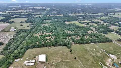 View/Area - 650 NE 200th Ave, Williston, FL 32696 photo 4 of 18
