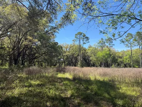 Other - 650 NE 200th Ave, Williston, FL 32696 photo 5 of 9