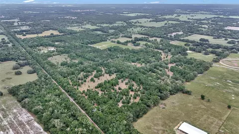 View/Area - 650 NE 200th Ave, Williston, FL 32696 photo 2 of 18