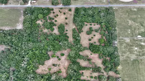 View/Area - 650 NE 200th Ave, Williston, FL 32696 photo 16 of 18