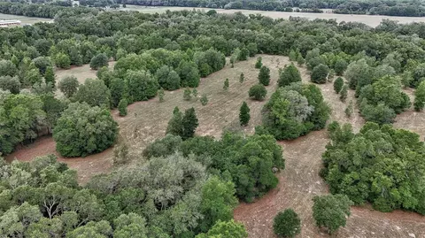 View/Area - 650 NE 200th Ave, Williston, FL 32696 photo 12 of 18