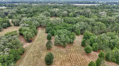 Other - 650 NE 200th Ave, Williston, FL 32696 photo 1 of 9