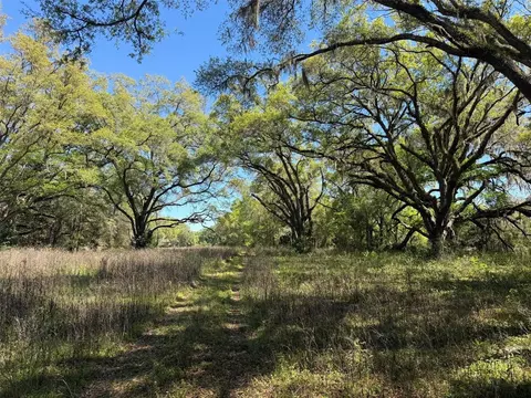 Other - 650 NE 200th Ave, Williston, FL 32696 photo 6 of 9