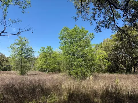 Other - 650 NE 200th Ave, Williston, FL 32696 photo 7 of 9