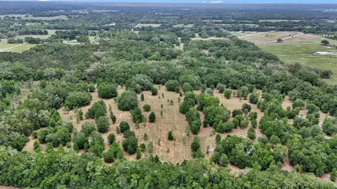 View/Area - 650 NE 200th Ave, Williston, FL 32696 photo 14 of 18