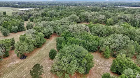 View/Area - 650 NE 200th Ave, Williston, FL 32696 photo 11 of 18