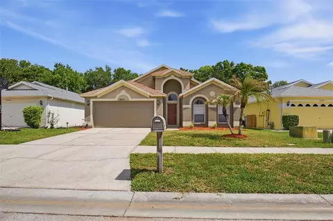 22611 Roderick Dr, Land O Lakes, FL 34639