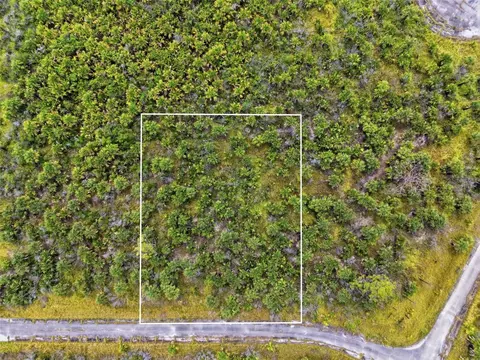 2806 Flameflower Ter SW, Palm Bay, FL 32908