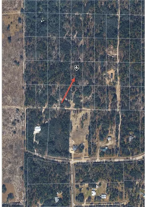 SE 64th Place, Morriston, FL 32668