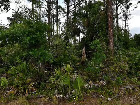 Geloso Avenue, North Port, FL 34288